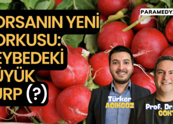Borsanın Yeni Korkusu: Heybedeki Büyük Turp (?)