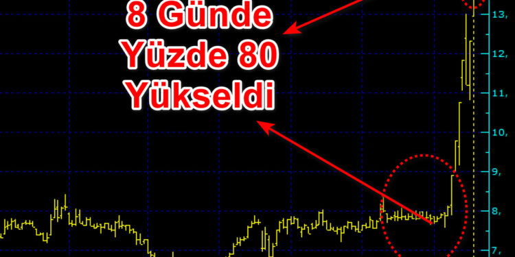 Gedik Yatırım hissesi 8 günde yüzde 80 yükseldi