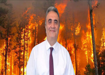 Orman Yangınları Ekonomisi