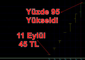 Halka arzdan 11 gün sonra yasak geldi