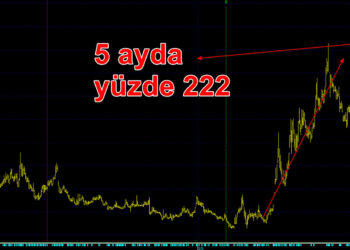 5 ayda yüzde 222 yükselen senede tedbir geldi