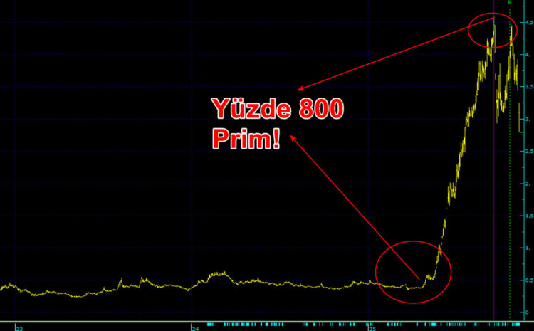 Adese Gayrimenkul 5 ayda yüzde 800 yükseldi.