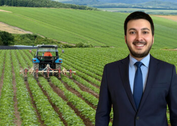 Gıda Fiyatları Düşmez: Tarımda Gerçeklik Sert, Maliyetler Yüksek