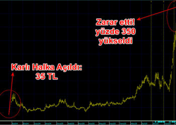 Halka açıldıktan sonra zarar eden şirketin hissesi 1ayda yüzde 166 yükseldi