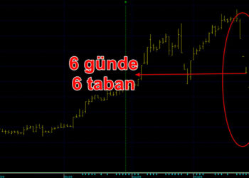 Tera Yatırım hissesi neden düştü? 6 iş gününde yüzde 46’lık sert kayıp