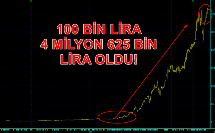 Tera hissesine bu yıl başında 100 bin lira yatıranların parası 4 milyon 625 bin lira oldu.