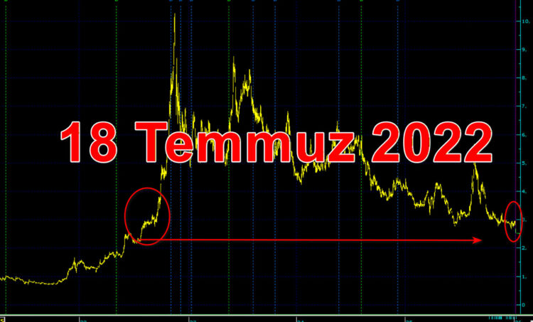 SASA 2022 fiyatına geriledi.