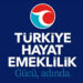 Türkiye Hayat Emeklilik’ten BES Yaptıranlara Özel Kasko, Konut ve Sağlık Sigortalarında Avantajlı Kampanya!