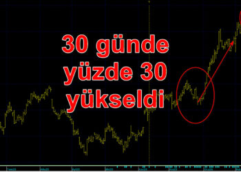 Protesto çagrısına rağmen Migros yüzde 30 yükseldi.