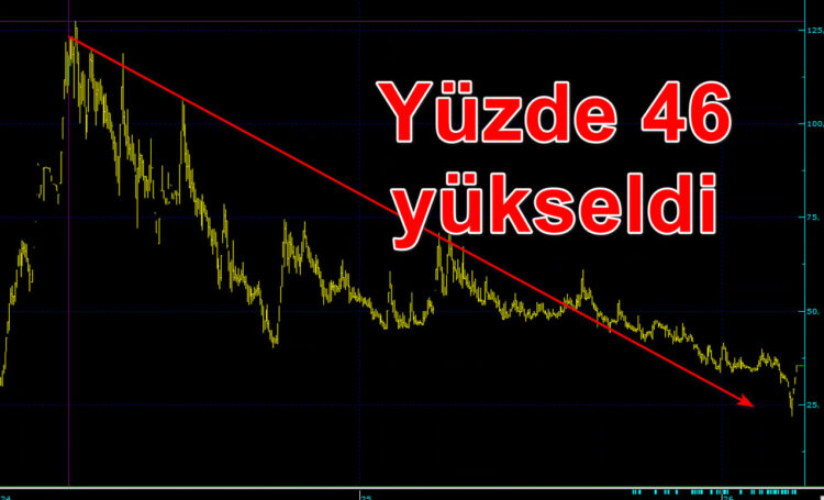 Marka Holding hissesi yaklaşık 700 gündür düşüyordu