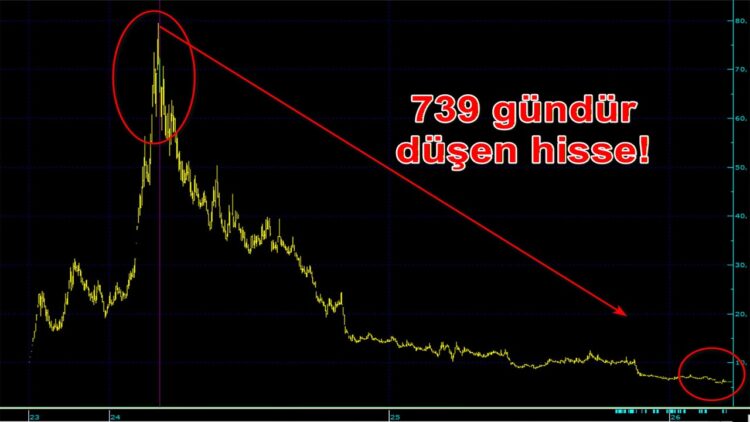 Reeder hisse senedi tam 739 gündür düşüyor.