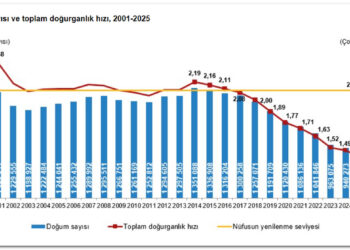 Türkiye’de alarm zilleri: Doğurganlık hızı tarihinin en düşük seviyesinde