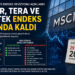 MSCI revizyonunda dikkat çeken karar: Kiler, Tera ve Destek endeks dışında kaldı