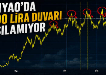 THY bir kez daha 300 TL'nin altında.