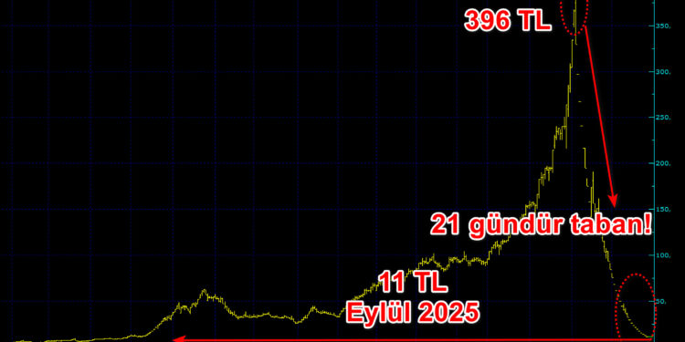 396 liradan 11,44 liraya düştü